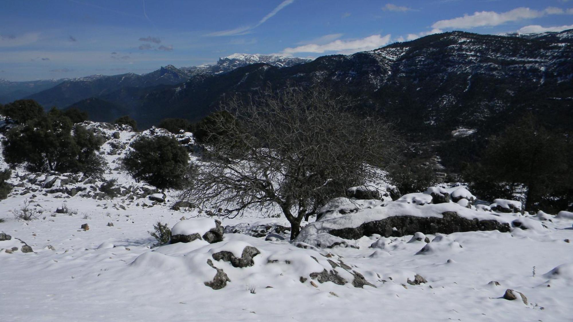 Casa Rural Fuente Zagrilla ภายนอก รูปภาพ